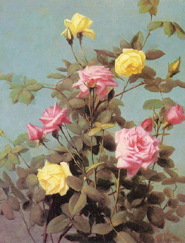 Lambdin, George Cochran Roses